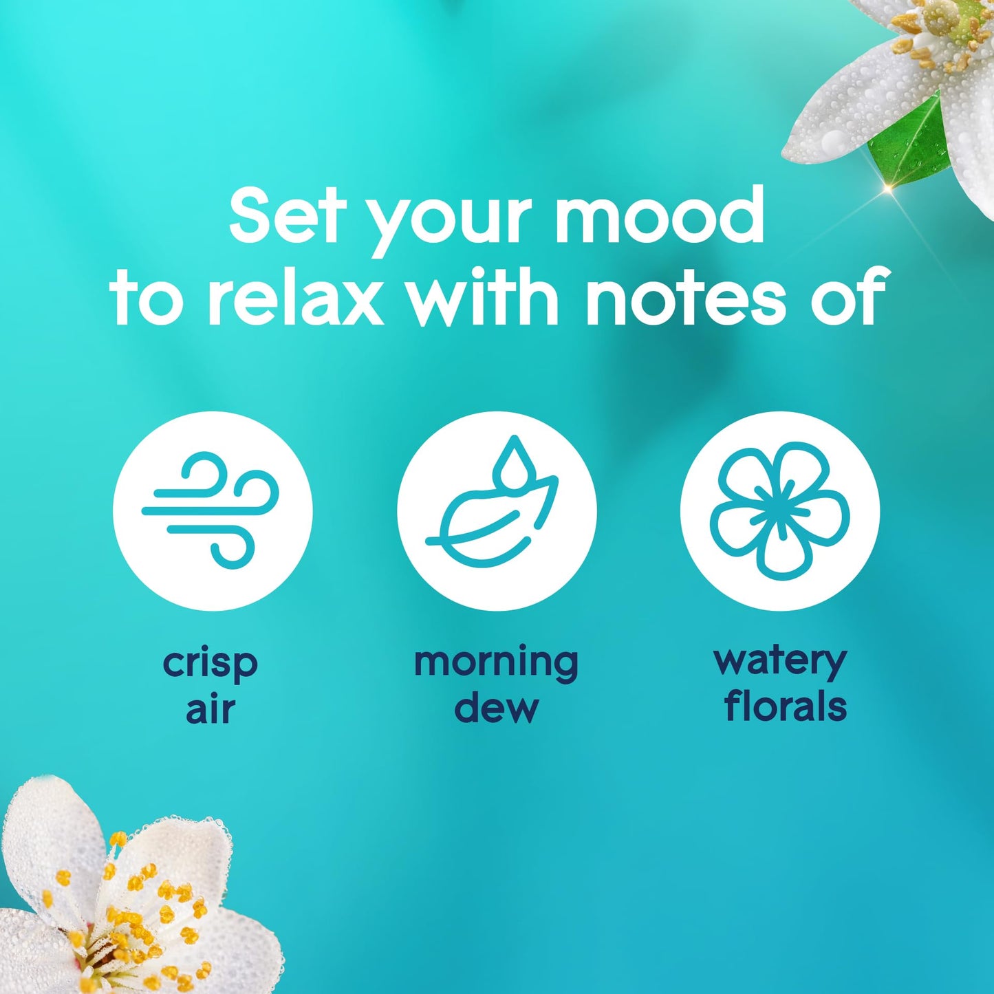 Glade Automatic Spray Refill, Dewdrop Petals, Scented Air Freshener for Home and Bathroom, 6.2 Oz, 2 Count