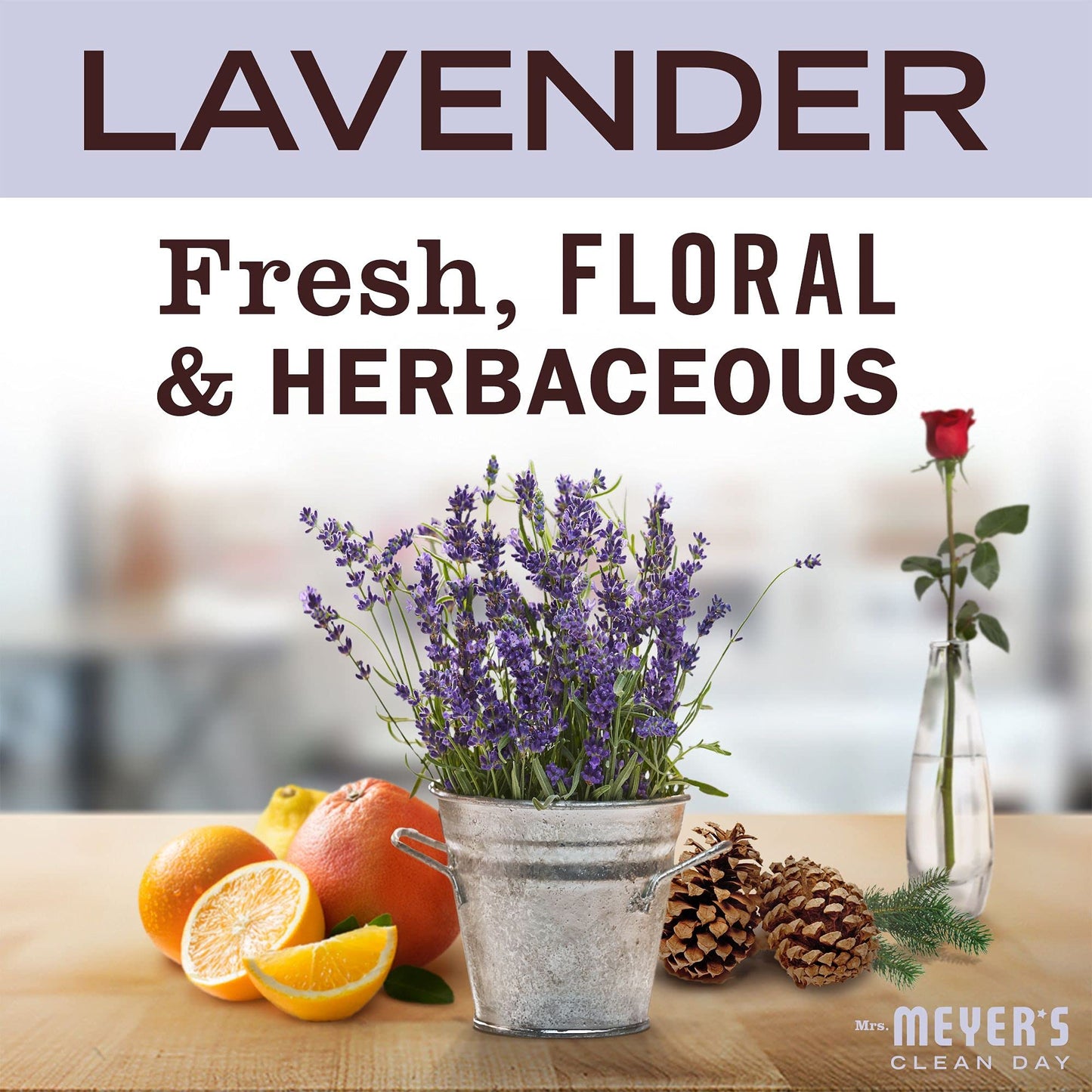 MRS. MEYER'S CLEAN DAY Liquid Dish Soap, Biodegradable Formula, Lavender, 16 fl. oz - Pack of 3