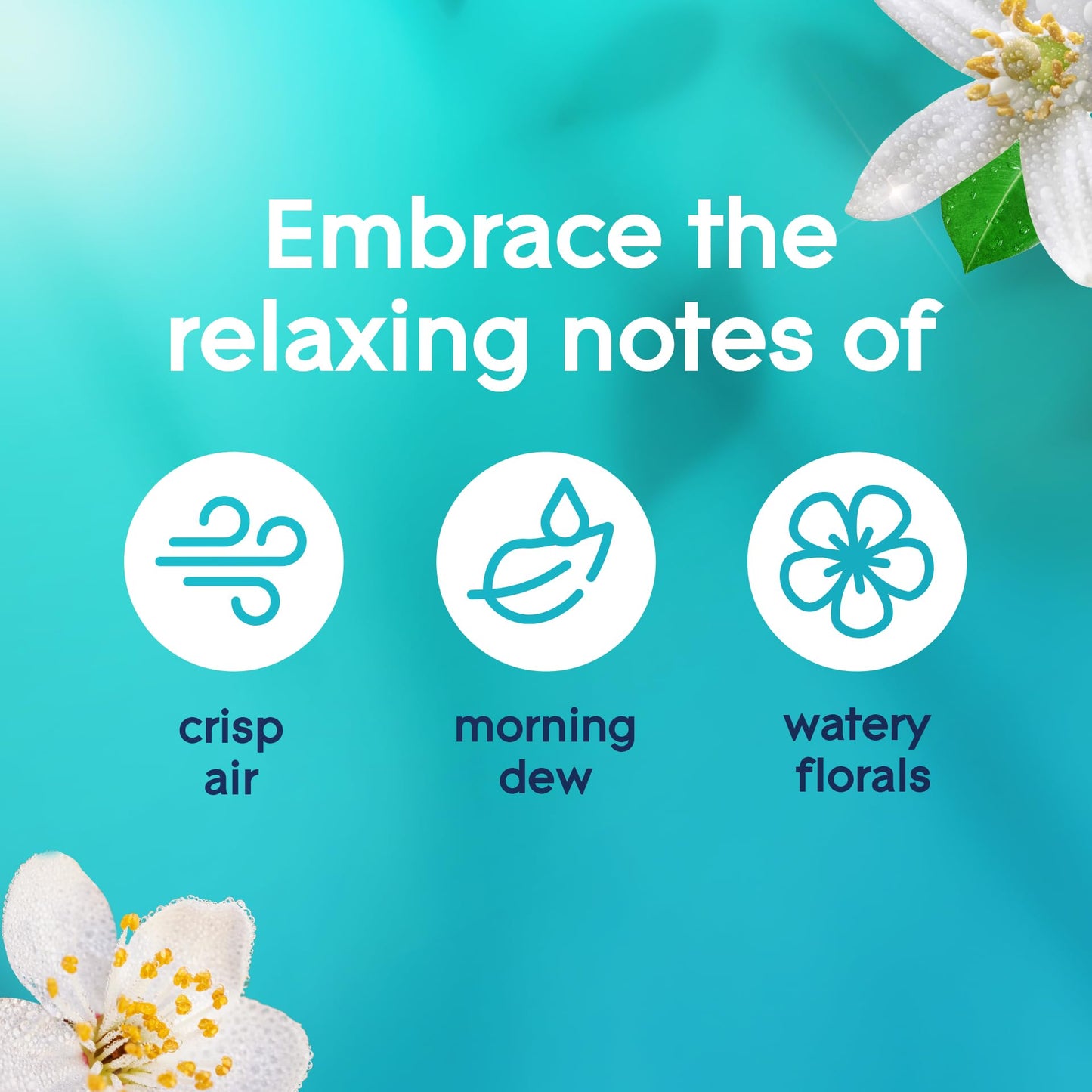 Glade Air Freshener Room Spray, Dewdrop Petals, Odor Fighting to Deliver Long Lasting Freshness, 8 Oz, 6 Count