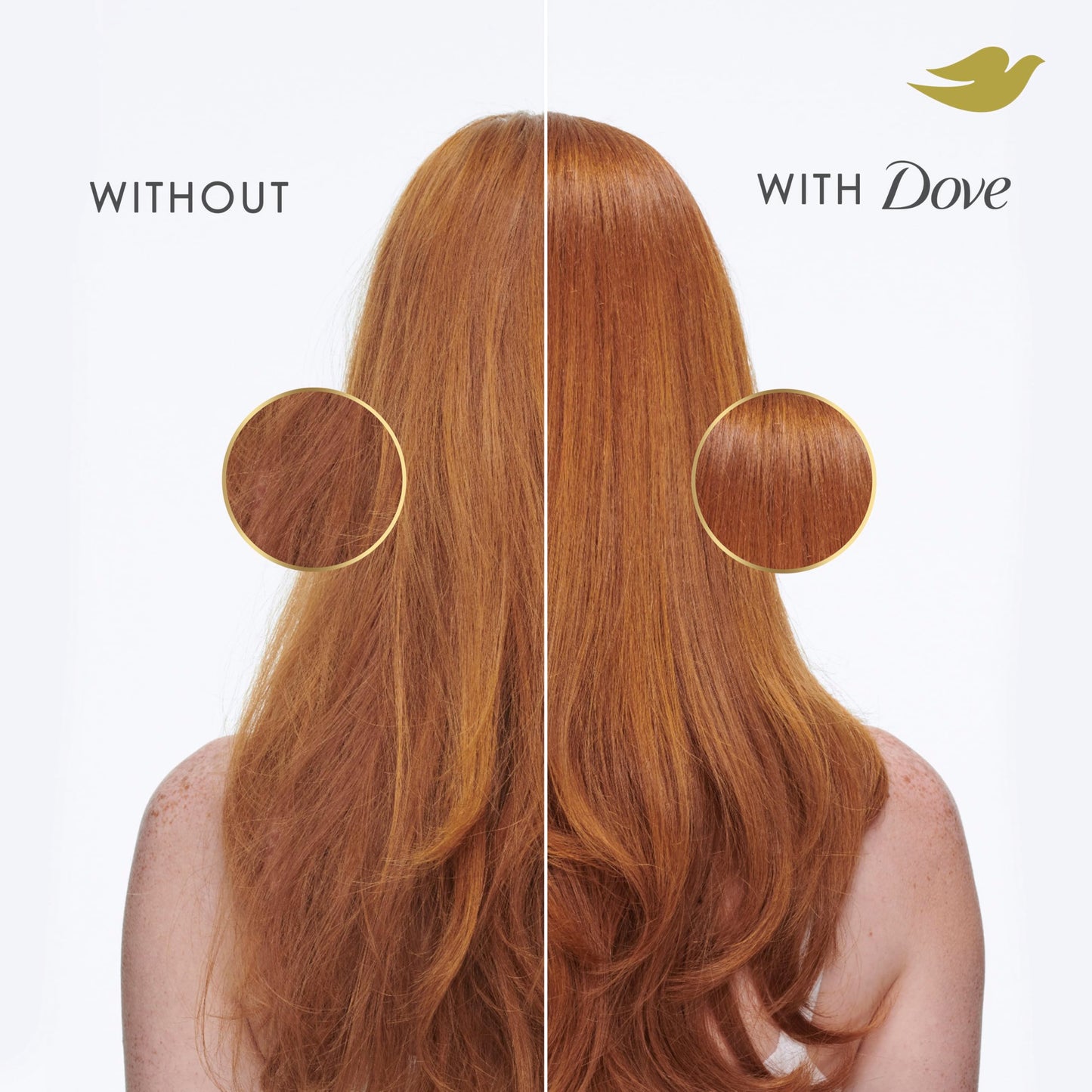 Dove Conditioner Volume & Fullness for Fine, Thin Hair with Liquid Bio-Protein Care Technology and Biotin 28 Fl oz